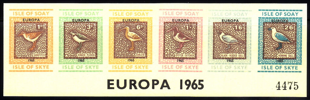 Birds