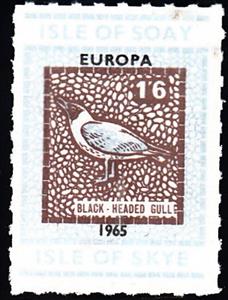 Stamp, Black-Headed Gull, Scotland, Isle of Soay,  , Animals (Fauna), Birds