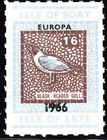 Black-Headed Gull