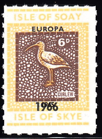 Curlew