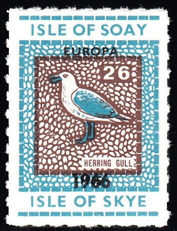 Herring Gull