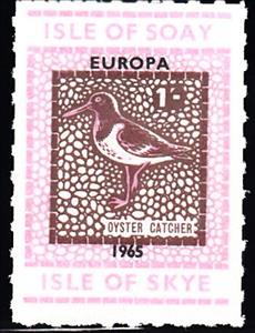 Stamp, Oyster Catcher, Scotland, Isle of Soay,  , Animals (Fauna), Birds