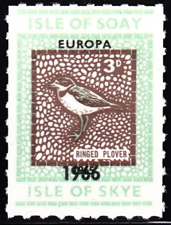 Ringed Plover