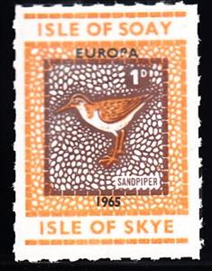 Stamp, Sandpiper, Scotland, Isle of Soay,  , Animals (Fauna), Birds