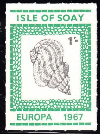 Shell