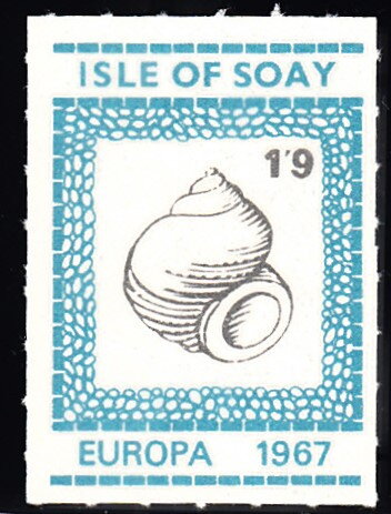 Shell