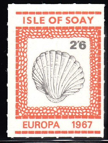 Shell