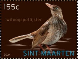 Pearly-Eyed Thrasher (Margarops fuscatus)