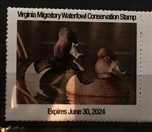 Stamp, Virginia Migratory Waterfowl Conservation Stamp, Virginia (VA),  , Animals (Fauna), Birds, Ducks