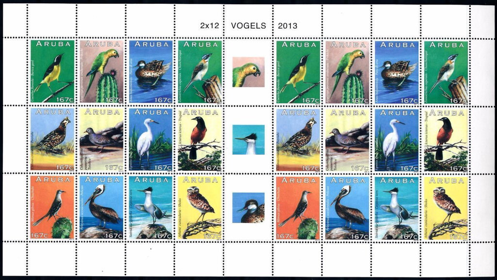 Birds