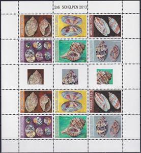 Full Pane, Shells, Aruba,  , Animals (Fauna), Molluscs, Sea Life, Shells, Snails and Slugs