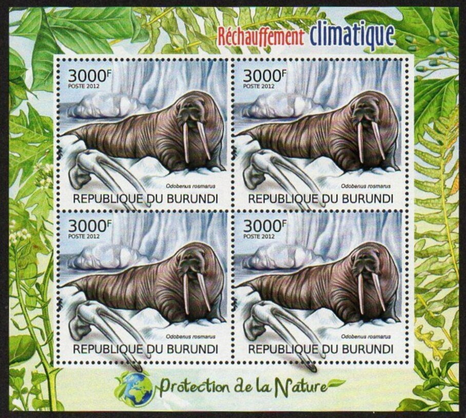 Odobenus rosmarus