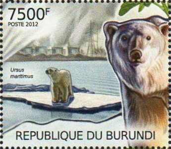 Ursus maritimus