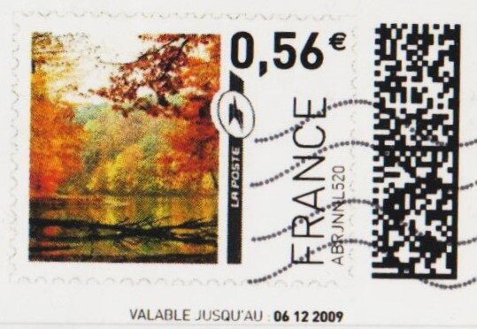 Trees in the autumn by a lake