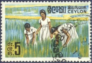 Stamp, Girls in Rice Field, Sri Lanka,  