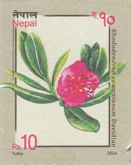 Rhododendron cowanianum