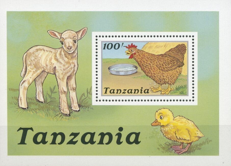 Chicken