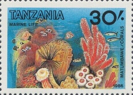 Corals