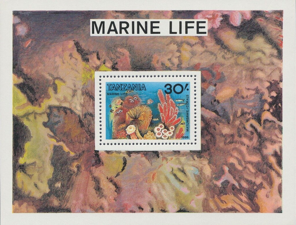 Corals