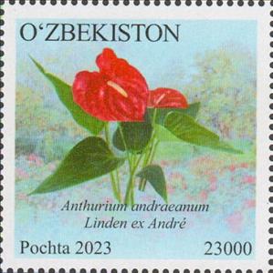 Stamp, Anthurium andraeanum, Uzbekistan,  , Flowers