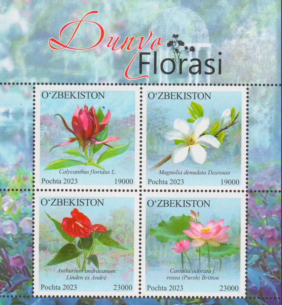 Flowers of the World : Ornamentals