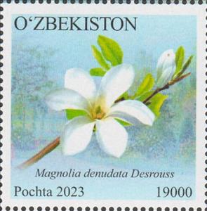 Stamp, Magnolia denudata Desrouss, Uzbekistan,  , Flowers