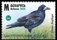 Stamp, Rook (Corvus frugilegus), Belarus,  , Animals (Fauna), Birds
