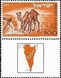 Dromedary (Camelus dromedarius)