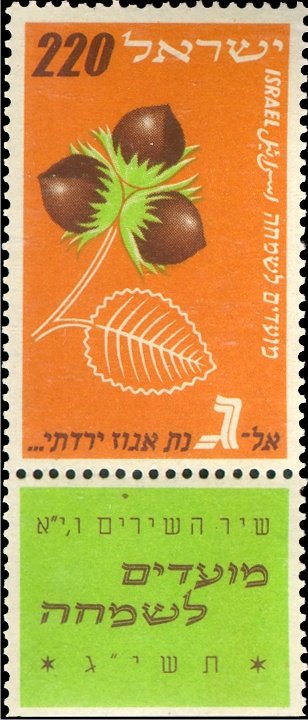 Festival 1952 - Nut cluster