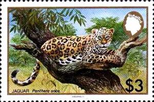 Stamp, Jaguar (Panthera onca), Belize,  , Animals (Fauna), Jaguars, Mammals, Wild Cats