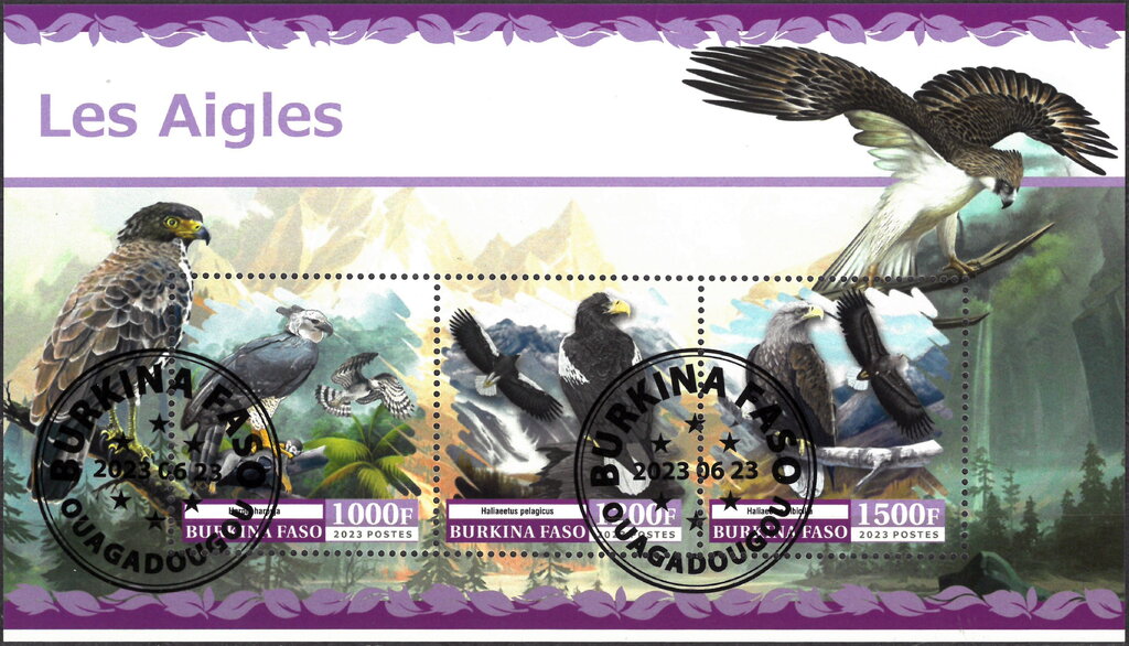 Eagles