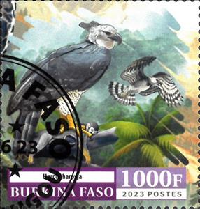 Stamp, Eagles, Burkina Faso,  , Animals (Fauna), Birds, Eagles