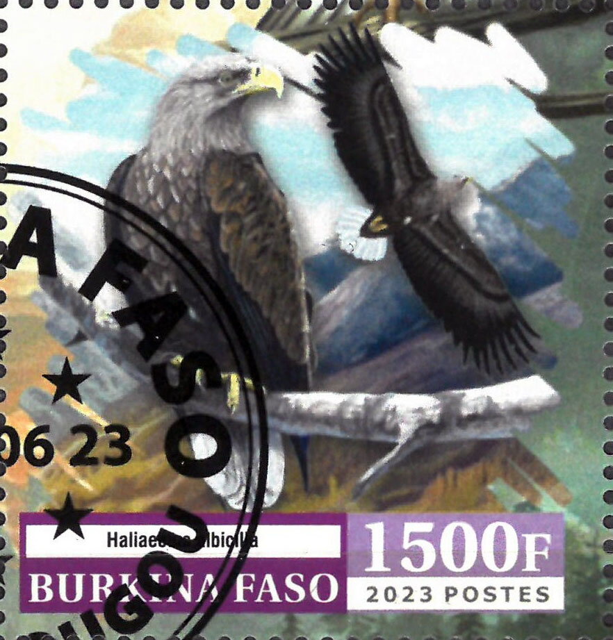 Eagles