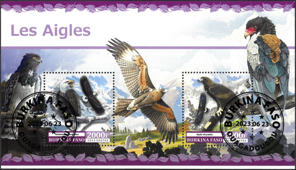 Eagles