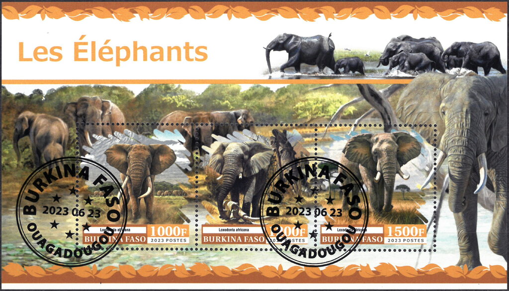 Elephants