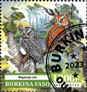 Stamp, Owl, Burkina Faso,  , Animals (Fauna), Birds, Owls