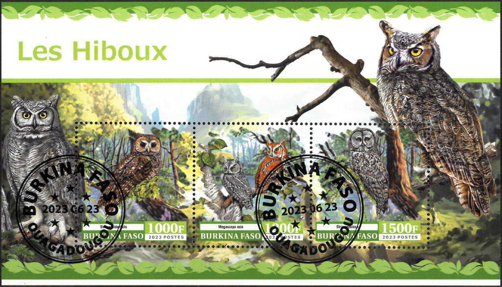 Owls