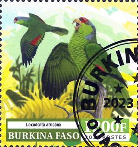 Stamp, Parrots, Burkina Faso,  , Animals (Fauna), Birds, Parrots