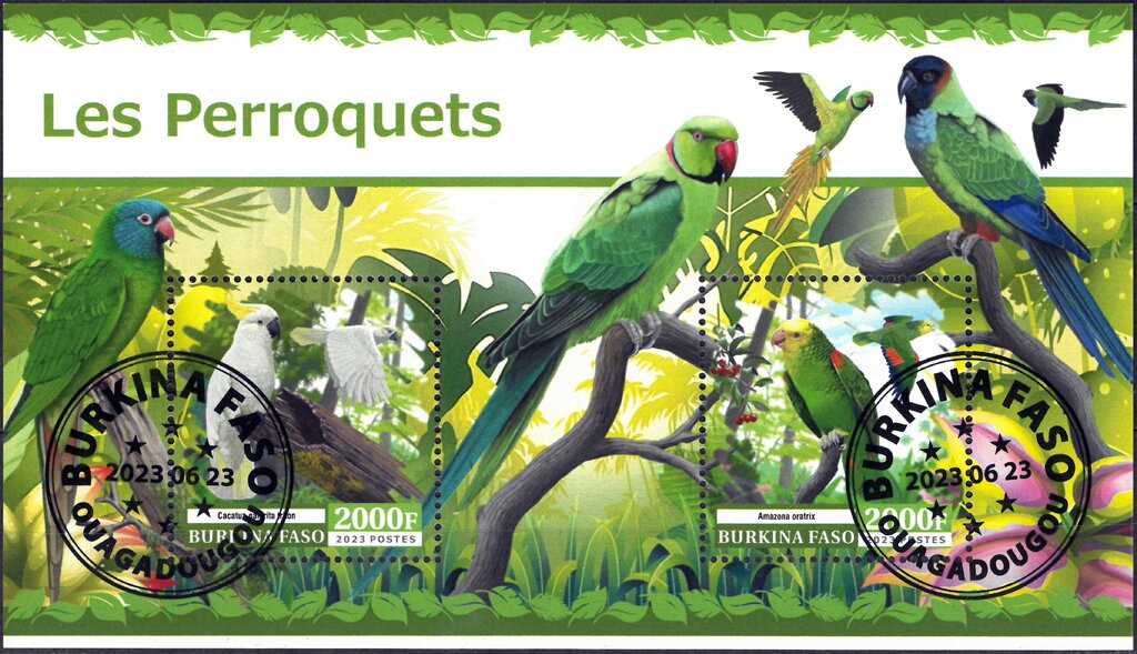 Parrots