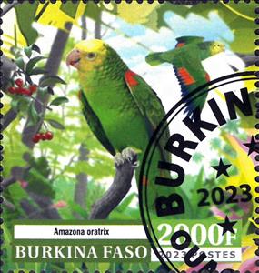 Stamp, Parrots, Burkina Faso,  , Animals (Fauna), Birds, Parrots