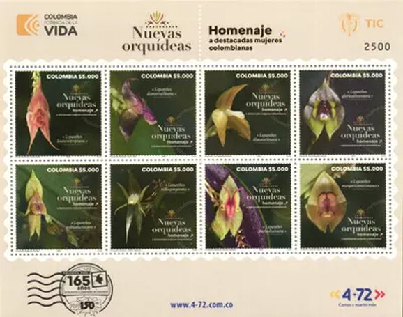International Women's Day 2024 : Orchids