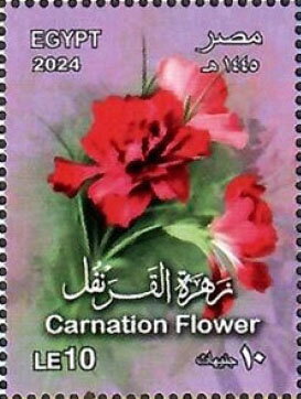 Carnation