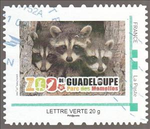 Stamp, Racoons Parc des Mamelles, France,  , Animals (Fauna), Mammals, Parks, Raccoons, Zoos