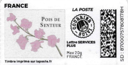 Sweet Pea. Pois de Senteur. Redesign. no logo, courrier suiv
