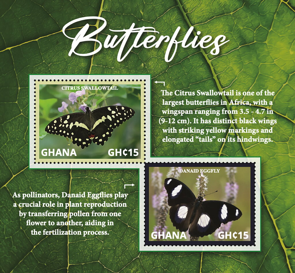 Butterflies