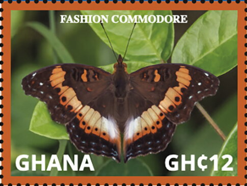 Fashion Commodore (Precis pelarga)
