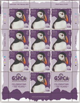 Atlantic Puffin (Fratercula Arctica)KB