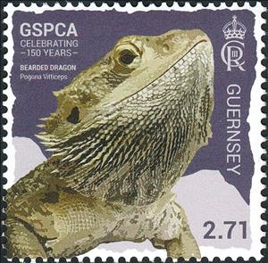 Stamp, Bearded Dragon (Pogona Vitticeps), Guernsey,  , Animals (Fauna), Anniversaries and Jubilees, Lizards