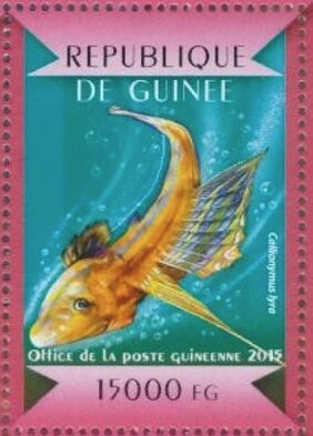 Stamp, Common dragonet (Callionymus lyra), Guinea,  , Animals (Fauna), Fishes, Sea Life