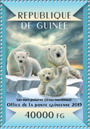 Polar bears (Ursus maritimus)